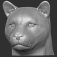 1.jpg Leopard head for 3D printing