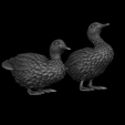 2023-11-28-20_27_21-_-bust-1-C__Users_Berkehan_Desktop_bust-1.blend-Blender-4.0.png Duck sitting and standing duck