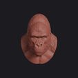 gorilla_0001.jpg Gorilla Head