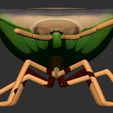 Frontal.jpg dichelops furcatus - Green bellied bug