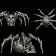 BPR_Render9.jpg Spider Skull Creepy Halloween