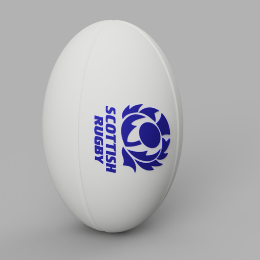 Ballon De Rugby Findus – Édition Spéciale – Blanc – Neuf Sous Emballage