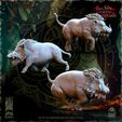 EE-Beastmasters5.jpg Evergreen Elves Beastmasters