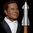 2.jpg Busto di Elon Musk