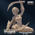04.png Shadowdancer of veil D