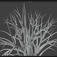 Screenshot-2026-03-08-104037.png Дерево