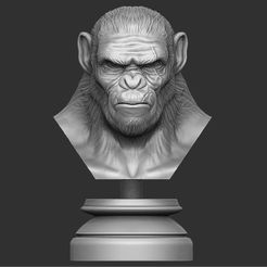 1.JPG STL file Koba Monkey・3D print model to download