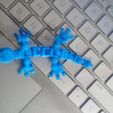 IMG_20220909_071112_585.jpg robot gecko