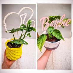 Screenshot_20220605-183735_Instagram.jpg STL-Datei Pflanzenhilfsmittel-Set Barbie・3D-druckbares Design zum Herunterladen