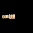 lowerjaw.dentalCADscreenshot.png JP Natural Shape Design Library Teeth - EXOCAD