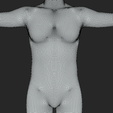 10.png Human Body Base in T-Pose