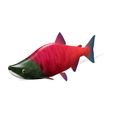 0.jpg SALMON - Fish 3D MODEL - Coral Fish Goby