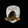 common-carp-2.png head trophy COMMON CARP (CYPRINUS CARPIO)open mouth statue 2 detailed texture for 3d printing