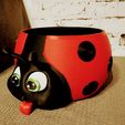 IMG_20240305_065759.jpg Ladybug Bowl / Ladybug Bobbel Bowl