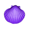 shell only.stl Scallop Shell with pearl on stand, seashell coastal decor, beach house, home interior decoration design