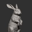 rabbit12.jpg Rabbit 3D print model