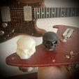 IMG_5454.jpg Skull-Knob