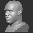 4.jpg Shaquille O'Neal bust for 3D printing