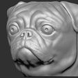 4.jpg Pug head for 3D printing