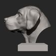 Labrador6.jpg Labrador Modèle d'impression 3D