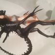08.jpg Ripley’s Pet- by SPARX
