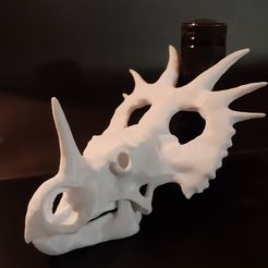 20200929_231844.jpg STL file Styracosaurus dinosaur skull・3D printing template to download