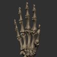 skeleton-hand-3d-model-obj-fbx-stl-7.jpg Skeleton Hand