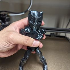 PXL_20221021_184435671.jpg STL file Flexi T'challa Black Panther STL・3D printable model to download