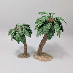 IMG_20180306_115827.jpg Free STL file Palm Tree・Template to download and 3D print