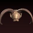 5.jpg Goat Skull