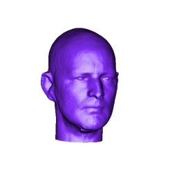 preview.png Head scan from Bellus3d app