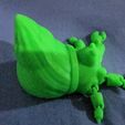 Bernard l'Hermite articulé -Support gratuit