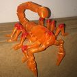 Flexi Print-In-Place Scorpion