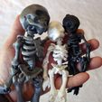 Skeleton_08.jpg Fully Articulated Human Skeleton 3D Print-In-Place STL Model Fidget Toy
