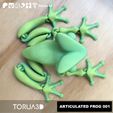 02.jpg Articulated Frog 001
