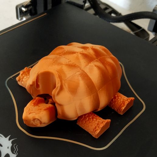 5.jpg STL file Flexi Giant Galapagos Tortoise・3D print object to download, 3dprintingfun