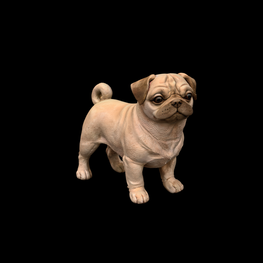 pug-dog-sculpture-model.png modelo de escultura de perro carlino