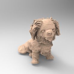untitled.66.jpg STL-Datei Pekinese (Pekinés) Sentado・3D-druckbare Vorlage zum herunterladen