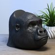 Gorilla-head-Ps5-controller-stand,-Monkey-head-ps5controller-holder,-Gorilla-bust-ps5-controller-Sta.jpg Gorilla head Ps5 controller stand, Monkey head ps5controller holder, Gorilla bust ps5 controller Stand, Perfect Gamer Gift, a295 (1)