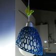 received_10211913871110263.jpeg Voronoi lamp