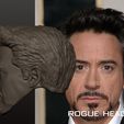 SIX_C7381FEE-C699-4DD8-B0DB-35FEC178B513.jpeg Robert Downey Jr. Tony Stark Ironman Endgame Custom Head