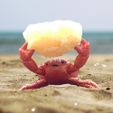 photocults.jpg Sponge crab holder.