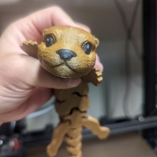 PXL_20221002_003023911.jpg Lontra bebé Flexi