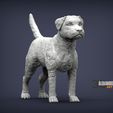 Border-terrier-1.jpg Border terrier 3D print model