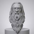 GOLOVA-DAMBOLDORA-NIeIRONKA.jpg Dumbledore – Head Bust 3D Model (Harry Potter Inspired)