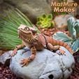 Beardie_06.jpg 3D file Bearded Dragon Articulated Toy, Print-In-Place Body, Snap-Fit Head, Cute Flexi・3D printable model to download
