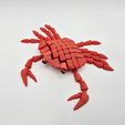 20251201_133407.jpg Flexi Hybrid Crab