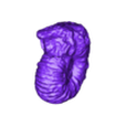 rip_Scan_fossile.stl Fossile d'ammonite
