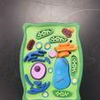 20230915_131519.jpg Resin Plant Cell Puzzle