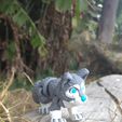 WhatsApp-Image-2026-05-22-at-10.05.21-AM-5.jpeg Joli loup gris